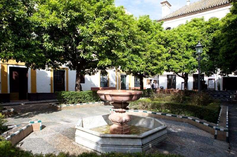 Dona Maria Siviglia